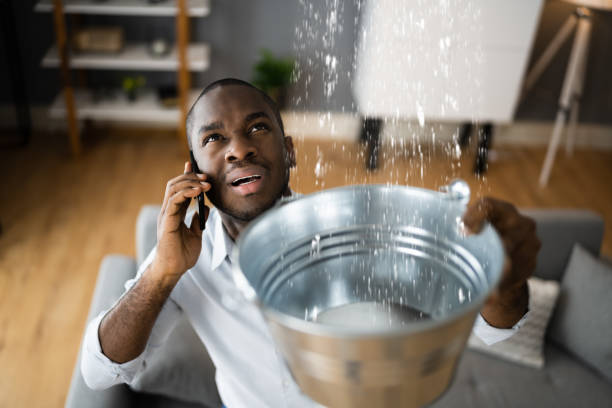 Best Professional water damage repair  in Bull Valley, IL