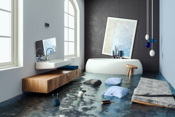 Best Basement water damage restoration  in Bull Valley, IL