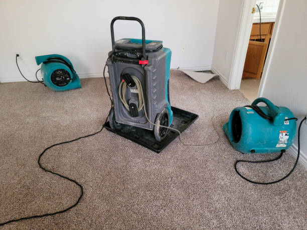 Best Water damage restoration near me  in Bull Valley, IL