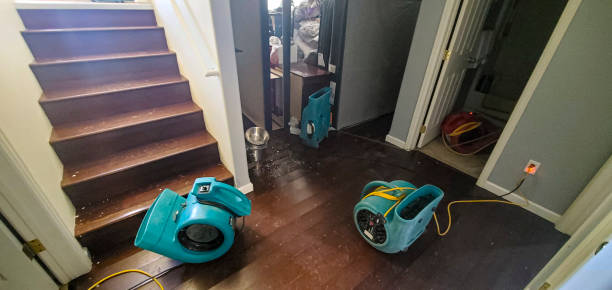 Best Flood damage cleanup  in Bull Valley, IL