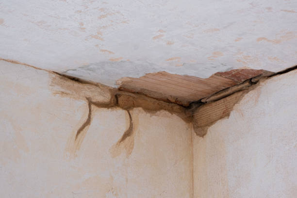 Trusted Bull Valley, IL Water damage restoration Experts