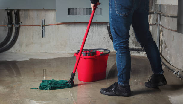 Best 24-hour water damage restoration  in Bull Valley, IL