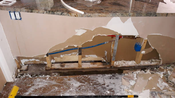 Best Local water damage restoration  in Bull Valley, IL