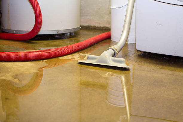 Best Ceiling water damage repair  in Bull Valley, IL