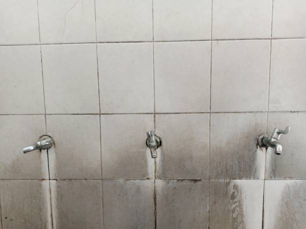 Best Emergency water damage restoration  in Bull Valley, IL
