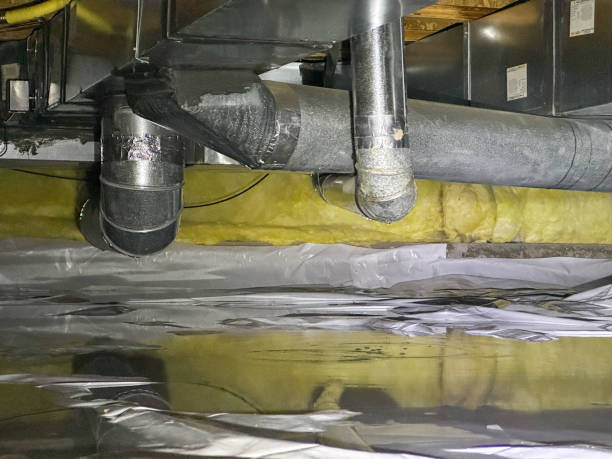 Best Mold removal after water damage  in Bull Valley, IL