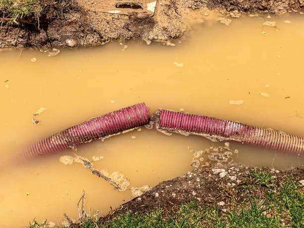 Best Carpet water damage restoration  in Bull Valley, IL