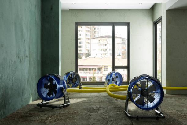 Best Commercial water damage restoration  in Bull Valley, IL